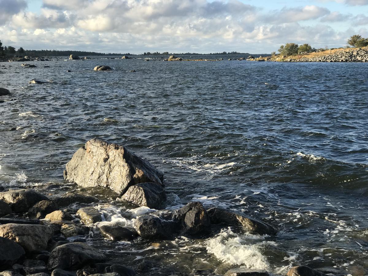 Waves hitting the rocks at a sea shore. There are rocks and a small island in the background.